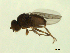  ( - 07PROBE-JW1159)  @13 [ ] CreativeCommons - Attribution (2010) Unspecified Centre for Biodiversity Genomics
