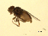  ( - 07PROBE-JW1177)  @13 [ ] CreativeCommons - Attribution (2010) Unspecified Centre for Biodiversity Genomics