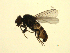  ( - 07PROBE-JW1185)  @13 [ ] CreativeCommons - Attribution (2010) Unspecified Centre for Biodiversity Genomics