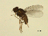  ( - 07PROBE-JW1186)  @13 [ ] CreativeCommons - Attribution (2010) Unspecified Centre for Biodiversity Genomics