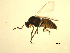 ( - 07PROBE-JW1203)  @13 [ ] CreativeCommons - Attribution (2010) Unspecified Centre for Biodiversity Genomics