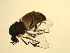  ( - 07PROBE-JW1209)  @13 [ ] CreativeCommons - Attribution (2010) Unspecified Centre for Biodiversity Genomics
