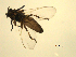  ( - 07PROBE-JW1212)  @13 [ ] CreativeCommons - Attribution (2010) Unspecified Centre for Biodiversity Genomics