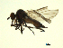  ( - 07PROBE-JW1282)  @12 [ ] CreativeCommons - Attribution (2010) Unspecified Centre for Biodiversity Genomics