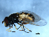  ( - 09PROBE-JW0005)  @13 [ ] CreativeCommons - Attribution (2010) Unspecified Centre for Biodiversity Genomics