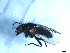  ( - 09PROBE-JW0046)  @12 [ ] CreativeCommons - Attribution (2010) Unspecified Centre for Biodiversity Genomics