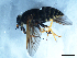  ( - 09PROBE-JW0285)  @12 [ ] CreativeCommons - Attribution (2010) Unspecified Centre for Biodiversity Genomics