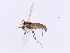  ( - 09PROBE-JW0494)  @13 [ ] CreativeCommons - Attribution (2010) CBG Photography Group Centre for Biodiversity Genomics