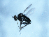 ( - 09PROBE-JW0725)  @12 [ ] CreativeCommons - Attribution (2010) Unspecified Centre for Biodiversity Genomics