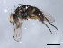  ( - 09PROBE-JW0760)  @12 [ ] CreativeCommons - Attribution (2010) CBG Photography Group Centre for Biodiversity Genomics