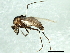  ( - 09PROBE-JW1412)  @13 [ ] CreativeCommons - Attribution (2010) CBG Photography Group Centre for Biodiversity Genomics