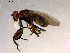  ( - 10PROBE-07521)  @13 [ ] CreativeCommons - Attribution (2011) CBG Photography Group Centre for Biodiversity Genomics