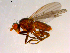  ( - 10PROBE-07536)  @14 [ ] CreativeCommons - Attribution (2011) CBG Photography Group Centre for Biodiversity Genomics