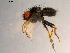  ( - 10PROBE-07540)  @13 [ ] CreativeCommons - Attribution (2011) CBG Photography Group Centre for Biodiversity Genomics