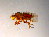  ( - 10PROBE-07576)  @13 [ ] CreativeCommons - Attribution (2011) CBG Photography Group Centre for Biodiversity Genomics