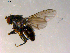  ( - 10PROBE-07580)  @13 [ ] CreativeCommons - Attribution (2011) CBG Photography Group Centre for Biodiversity Genomics