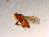  ( - 10PROBE-07593)  @12 [ ] CreativeCommons - Attribution (2011) CBG Photography Group Centre for Biodiversity Genomics