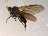  ( - 10PROBE-08789)  @12 [ ] CreativeCommons - Attribution (2011) CBG Photography Group Centre for Biodiversity Genomics