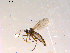  ( - 10PROBE-08800)  @12 [ ] CreativeCommons - Attribution (2011) CBG Photography Group Centre for Biodiversity Genomics