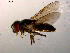  ( - 10PROBE-08804)  @13 [ ] CreativeCommons - Attribution (2011) CBG Photography Group Centre for Biodiversity Genomics