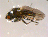  ( - 10PROBE-08830)  @12 [ ] CreativeCommons - Attribution (2011) CBG Photography Group Centre for Biodiversity Genomics