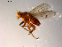  ( - 10PROBE-08858)  @12 [ ] CreativeCommons - Attribution (2011) CBG Photography Group Centre for Biodiversity Genomics