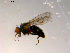  ( - 10PROBE-08880)  @13 [ ] CreativeCommons - Attribution (2011) CBG Photography Group Centre for Biodiversity Genomics
