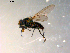  ( - 10PROBE-09707)  @13 [ ] CreativeCommons - Attribution (2011) CBG Photography Group Centre for Biodiversity Genomics