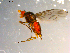  ( - 10PROBE-09759)  @13 [ ] CreativeCommons - Attribution (2011) CBG Photography Group Centre for Biodiversity Genomics