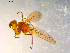  ( - 10PROBE-09799)  @12 [ ] CreativeCommons - Attribution (2011) CBG Photography Group Centre for Biodiversity Genomics