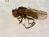  ( - 10PROBE-09817)  @12 [ ] CreativeCommons - Attribution (2011) CBG Photography Group Centre for Biodiversity Genomics