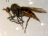  ( - 10PROBE-09868)  @13 [ ] CreativeCommons - Attribution (2011) CBG Photography Group Centre for Biodiversity Genomics