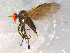  ( - 10PROBE-09922)  @13 [ ] CreativeCommons - Attribution (2011) CBG Photography Group Centre for Biodiversity Genomics