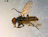  ( - 10PROBE-10080)  @12 [ ] CreativeCommons - Attribution (2011) CBG Photography Group Centre for Biodiversity Genomics