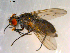 ( - 10PROBE-10085)  @13 [ ] CreativeCommons - Attribution (2011) CBG Photography Group Centre for Biodiversity Genomics