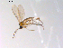  ( - 10PROBE-10204)  @12 [ ] CreativeCommons - Attribution (2011) CBG Photography Group Centre for Biodiversity Genomics