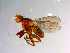  ( - 10PROBE-10237)  @12 [ ] CreativeCommons - Attribution (2011) CBG Photography Group Centre for Biodiversity Genomics