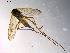  ( - 10PROBE-10256)  @13 [ ] CreativeCommons - Attribution (2011) CBG Photography Group Centre for Biodiversity Genomics