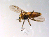  ( - 10PROBE-10261)  @13 [ ] CreativeCommons - Attribution (2011) CBG Photography Group Centre for Biodiversity Genomics