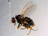  ( - 10PROBE-10269)  @13 [ ] CreativeCommons - Attribution (2011) CBG Photography Group Centre for Biodiversity Genomics