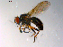  ( - 10PROBE-10289)  @14 [ ] CreativeCommons - Attribution (2011) CBG Photography Group Centre for Biodiversity Genomics