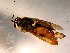  ( - 10PROBE-10465)  @12 [ ] CreativeCommons - Attribution (2011) CBG Photography Group Centre for Biodiversity Genomics