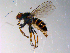  ( - 10PROBE-10471)  @13 [ ] CreativeCommons - Attribution (2011) CBG Photography Group Centre for Biodiversity Genomics