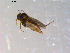  ( - 10PROBE-10649)  @12 [ ] CreativeCommons - Attribution (2011) CBG Photography Group Centre for Biodiversity Genomics