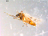  ( - 10PROBE-10650)  @12 [ ] CreativeCommons - Attribution (2011) CBG Photography Group Centre for Biodiversity Genomics