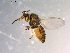  ( - 10PROBE-10661)  @13 [ ] CreativeCommons - Attribution (2011) CBG Photography Group Centre for Biodiversity Genomics