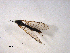  ( - 10PROBE-10718)  @12 [ ] CreativeCommons - Attribution (2011) CBG Photography Group Centre for Biodiversity Genomics