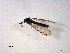  ( - 10PROBE-10719)  @12 [ ] CreativeCommons - Attribution (2011) CBG Photography Group Centre for Biodiversity Genomics