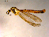  ( - 10PROBE-10787)  @13 [ ] CreativeCommons - Attribution (2011) CBG Photography Group Centre for Biodiversity Genomics