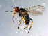  ( - 10PROBE-10945)  @13 [ ] CreativeCommons - Attribution (2011) CBG Photography Group Centre for Biodiversity Genomics